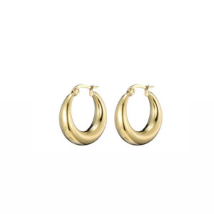 Golden Circle Earrings